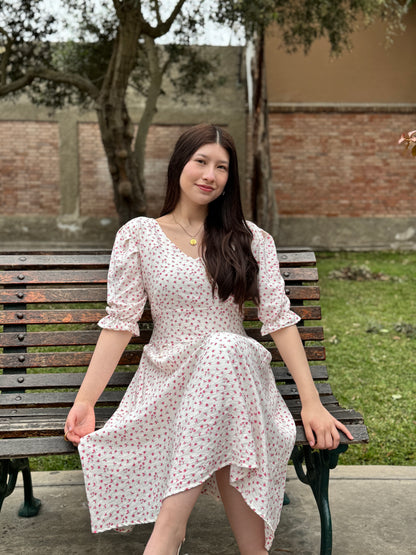Vestido Clavel